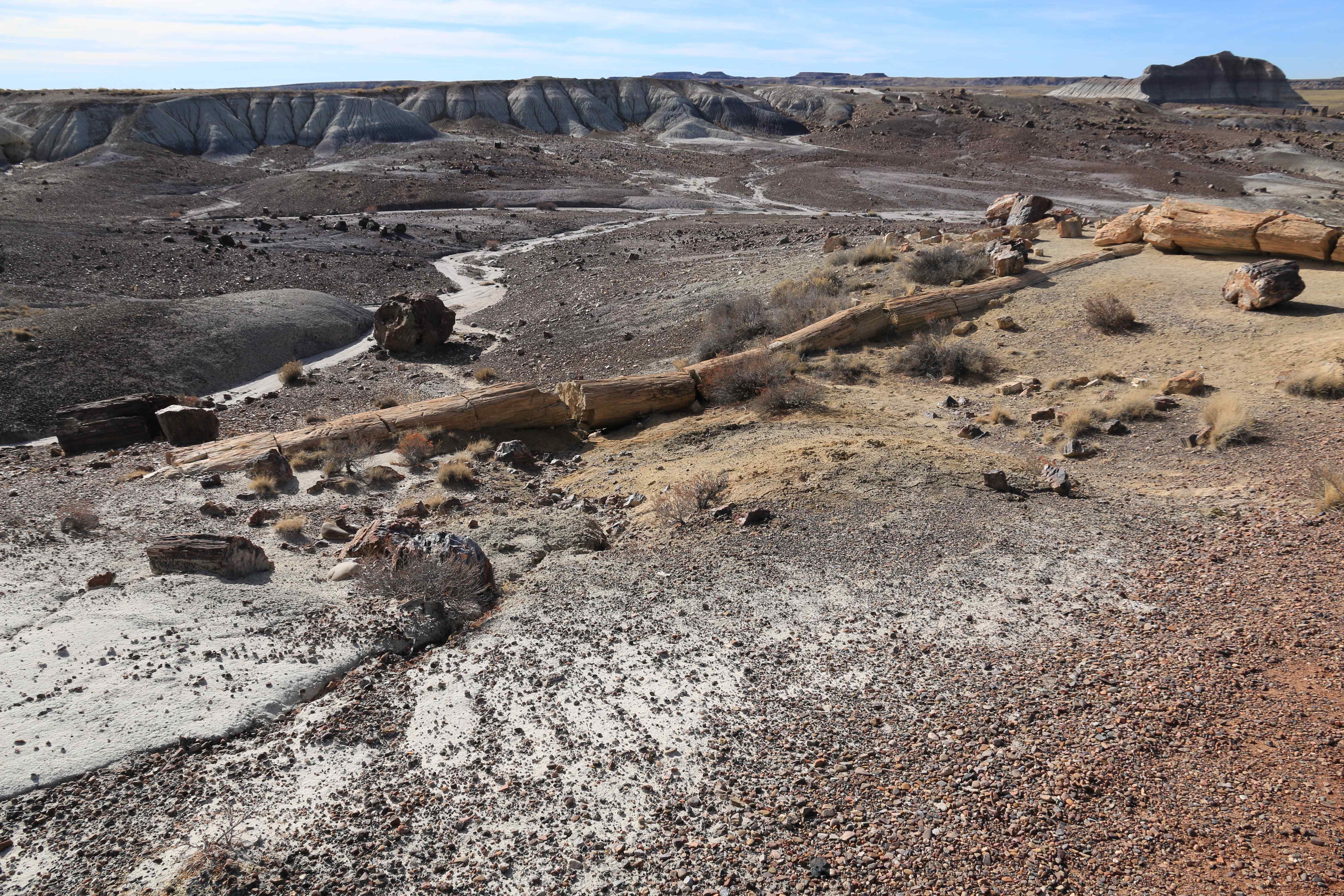 Petrified Forest NP